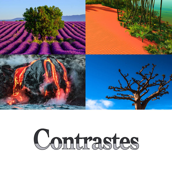 contrastes_course_thumbnail_square