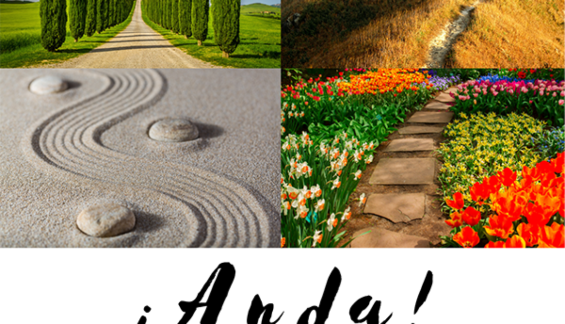 Copy of Anda_ Curso Elemental_subtitle_author